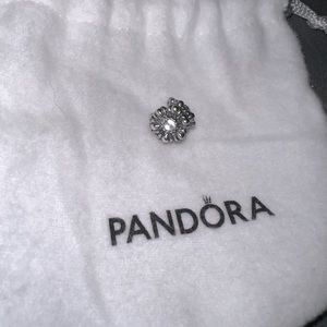 Pandora June birthstone flower charm.